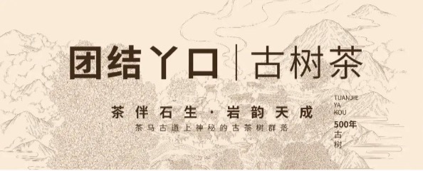 新品上市 | 初心之作与岁月陈韵·醇臻